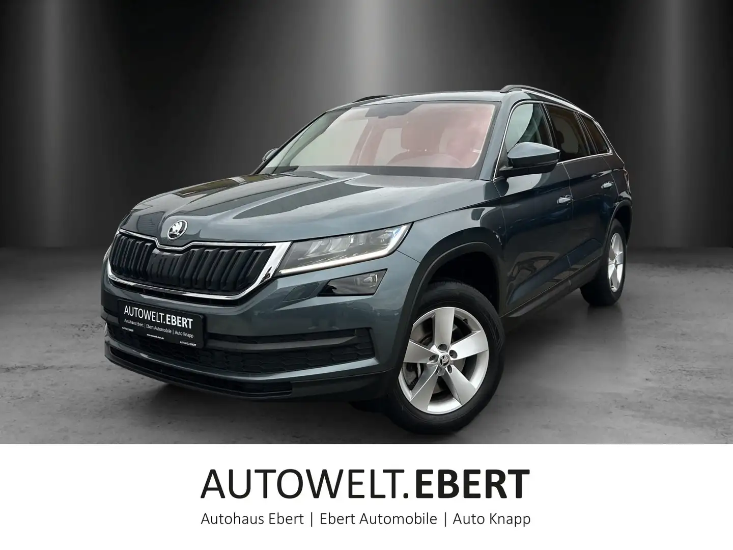 Skoda Kodiaq 2.0 TDI DSG/LED/SHZ/PDC/7-Si./DAB/ Gris - 1