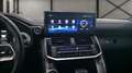 Toyota Land Cruiser LC300 VXR FACELIFT 2025 Grijs - thumbnail 8