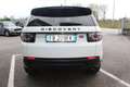 Land Rover Discovery Sport Discovery Sport 2.0 td4 HSE Luxury awd 180cv auto Wit - thumbnail 6