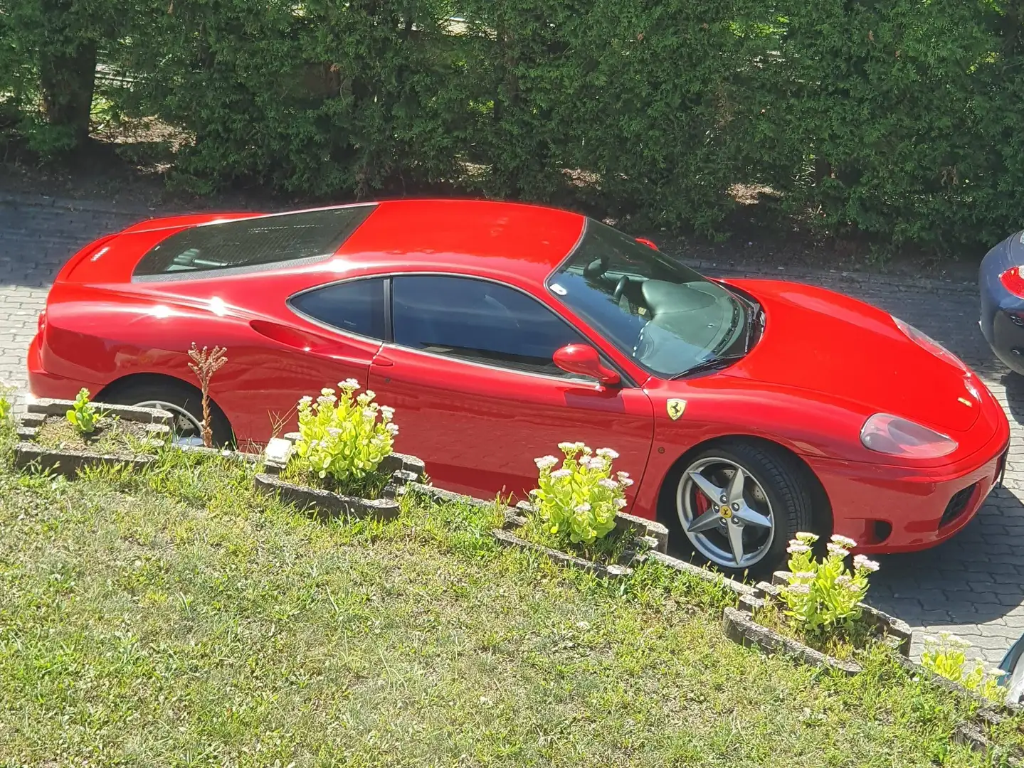 Ferrari 360 360 Modena F1 Riemen neu Rot - 1