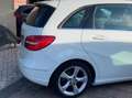 Mercedes-Benz B 200 Classe B - T246 Premium E6 iva esposta ( compresa Blanc - thumbnail 9