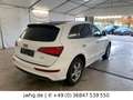 Audi Q5 2.0 TDI quattro|S-line|Xenon+|SoundSys|Navi Weiß - thumbnail 3