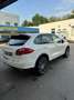 Porsche Cayenne Diesel Weiß - thumbnail 6
