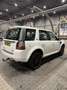 Land Rover Freelander Freelander Si4 Dynamic Wit - thumbnail 2