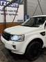 Land Rover Freelander Freelander Si4 Dynamic Wit - thumbnail 3