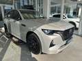 Mazda CX-60 Homura 3.3CD BOSE+MATRIX+AHK+LEDER+360°KAMERA Beige - thumbnail 17