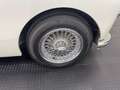 MG MGA 1500 Coupe Grau - thumbnail 22