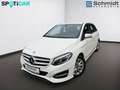 Mercedes-Benz B 220 4MATIC Aut. Weiß - thumbnail 1
