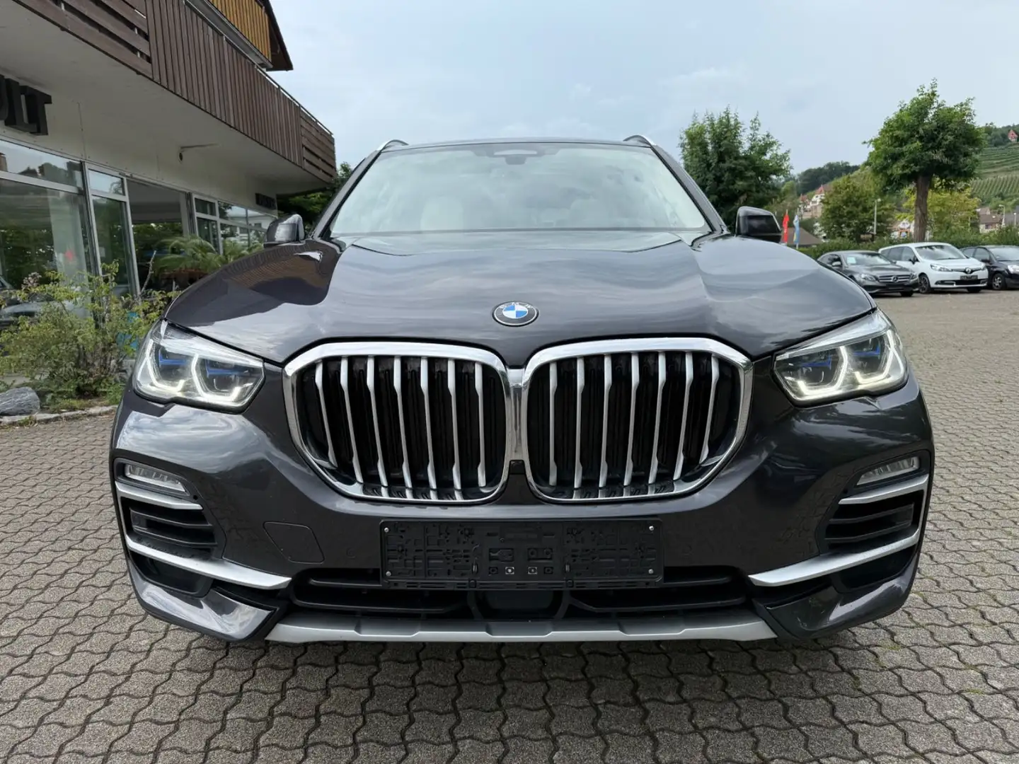BMW X5 xDrive 30 d xLine*PANO*HUD*LUFTFEDER*EU6dT* Grau - 2