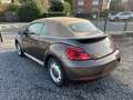 Volkswagen Beetle Braun - thumbnail 6