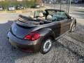 Volkswagen Beetle Braun - thumbnail 14