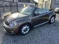 Volkswagen Beetle Braun - thumbnail 13