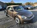 Volkswagen Beetle Braun - thumbnail 3