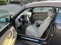 Volkswagen Beetle Braun - thumbnail 7