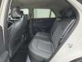 Kia Niro 1.6 PHEV DCT Plug-in Hybrid Spirit Navi Weiß - thumbnail 8