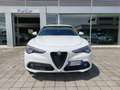 Alfa Romeo Stelvio Veloce 210cv AT8 Q4 Xeno Pelle Sens+Camera BLIS Weiß - thumbnail 16