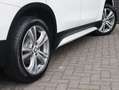 BMW X1 sDrive20i Executive Sport Line Automaat / Navigati Wit - thumbnail 6