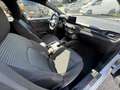 Ford Focus 4ª serie 1.5 EcoBlue 120 CV automatico 5p. ST-Line Blanc - thumbnail 20