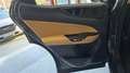 Lexus NX 450h+ Executive 4WD Verde - thumbnail 37