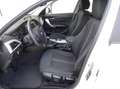 BMW 114 d Advantage 5 PORTE NAVI/USB/NEOPATENTATI Blanc - thumbnail 6
