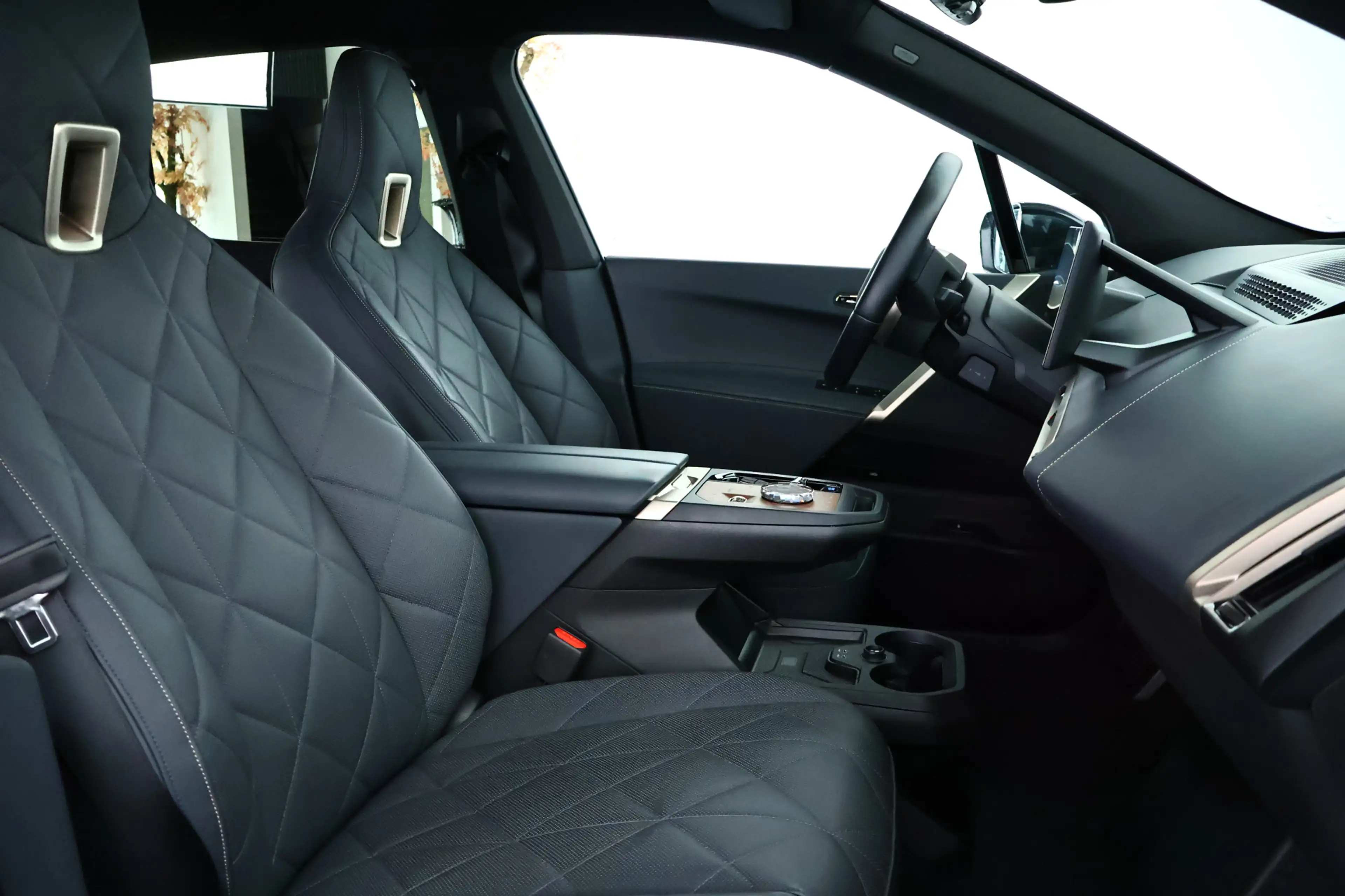 BMW iX xDrive40 M-Sport SKY Edition 77 kWh / Panorama / H — photo 11