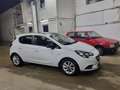 Opel Corsa Corsa 1,2 Black & White - Topzustand! Weiß - thumbnail 4