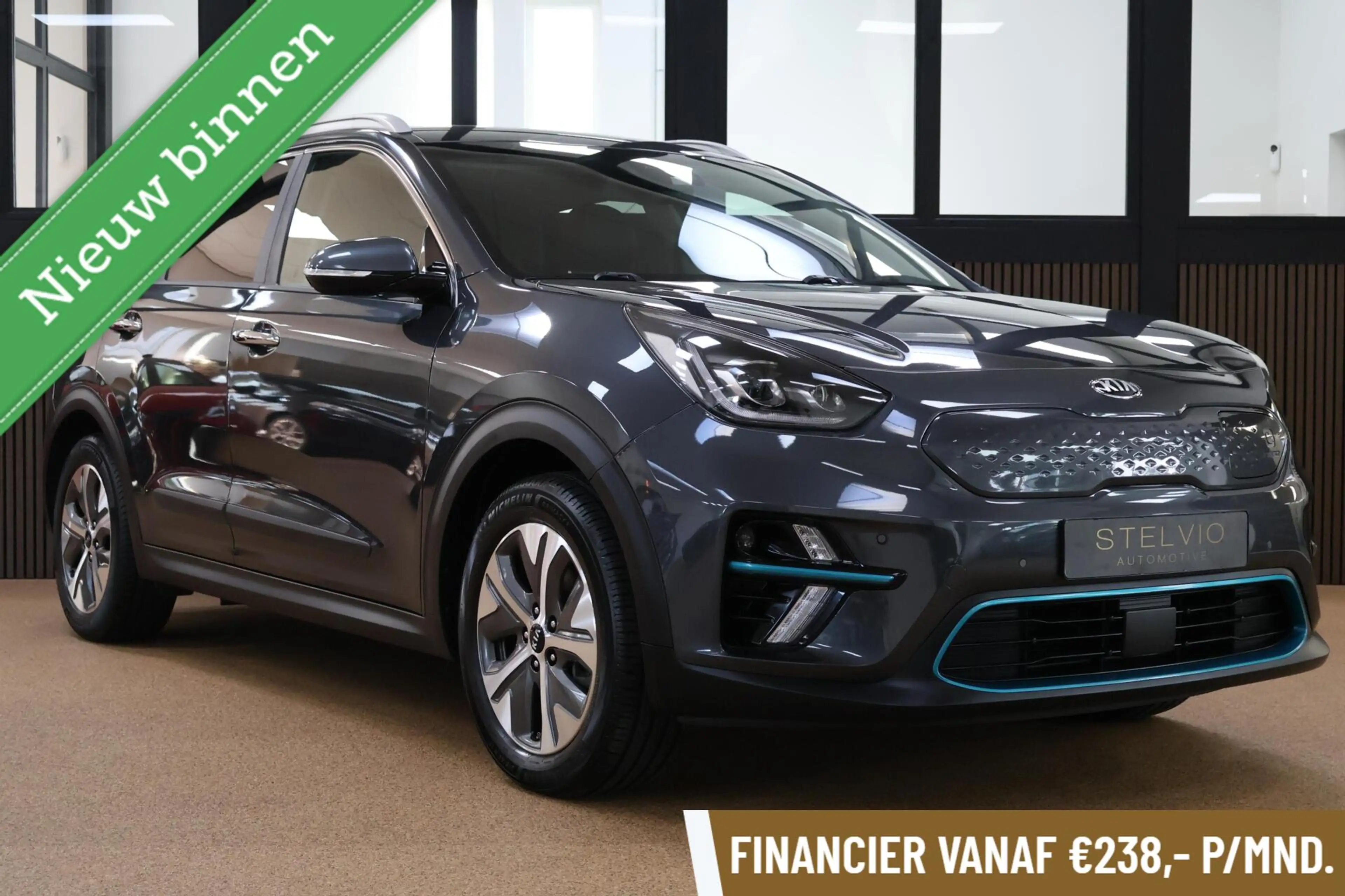 Kia e-Niro 64 kWh ExecutiveLine | Warmtepomp | Leder | etc.