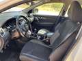 Nissan Qashqai 1.7dCI Acenta 4x4-I Blanco - thumbnail 5