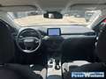 Ford Focus Titanium 1.5 EcoBoost EU6d-T HUD Navi Soundsystem Grau - thumbnail 14