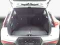 Volvo XC40 XC40 B3 B DKG Core Weiß - thumbnail 7