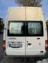 Ford Transit campervan ford transit Beyaz - thumbnail 14