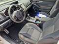 Subaru XV 1.6i EDITION Comfort plus Lineartr. 4WD White - thumbnail 2