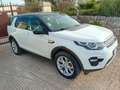 Land Rover Discovery Sport Discovery Sport 2.0 td4 HSE awd 150cv auto my19 Bianco - thumbnail 3