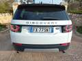 Land Rover Discovery Sport Discovery Sport 2.0 td4 HSE awd 150cv auto my19 Bianco - thumbnail 14