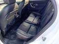 Land Rover Discovery Sport Discovery Sport 2.0 td4 HSE awd 150cv auto my19 Bianco - thumbnail 12