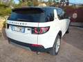 Land Rover Discovery Sport Discovery Sport 2.0 td4 HSE awd 150cv auto my19 Bianco - thumbnail 4
