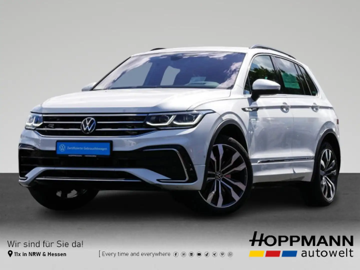 Volkswagen Tiguan 2.0 TDI 4M AHK Leder Pano Standhzg DSG Weiß - 1
