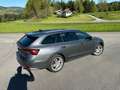 Skoda Octavia Scout*4x4*DSG*8fach Bereift Grau - thumbnail 4