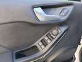 Ford Fiesta 1.0 EcoBoost MHEV ST Line X 125 Blanco - thumbnail 12