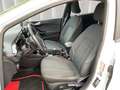 Ford Fiesta Trend 1.1 | GJR | DAB | KLIMA | WI-PKT | LEDER Weiß - thumbnail 10