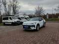 Volkswagen T-Roc Life 1.5 eTSI+150Ps+RFK+DSG+ACC+AppC+Klima Blanco - thumbnail 15