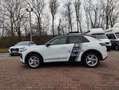 Volkswagen T-Roc Life 1.5 eTSI+150Ps+RFK+DSG+ACC+AppC+Klima Blanco - thumbnail 17