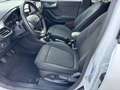 Ford Puma Puma 1.0 ecoboost h ST-Line X s Bianco - thumbnail 13