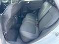 Ford Puma Puma 1.0 ecoboost h ST-Line X s Bianco - thumbnail 12