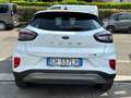 Ford Puma Puma 1.0 ecoboost h ST-Line X s Bianco - thumbnail 5