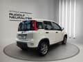 Fiat Panda Panda 0.9 Twinair Start Weiß - thumbnail 6