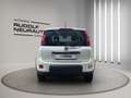 Fiat Panda Panda 0.9 Twinair Start Weiß - thumbnail 5