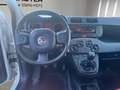 Fiat Panda Panda 0.9 Twinair Start Weiß - thumbnail 10