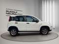 Fiat Panda Panda 0.9 Twinair Start Weiß - thumbnail 7