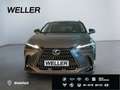 Lexus E-FOUR Executive Line *Bi-LED*360°*HiFi* Gris - thumbnail 2